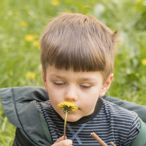 portrait-boy-with-dandelion-playing